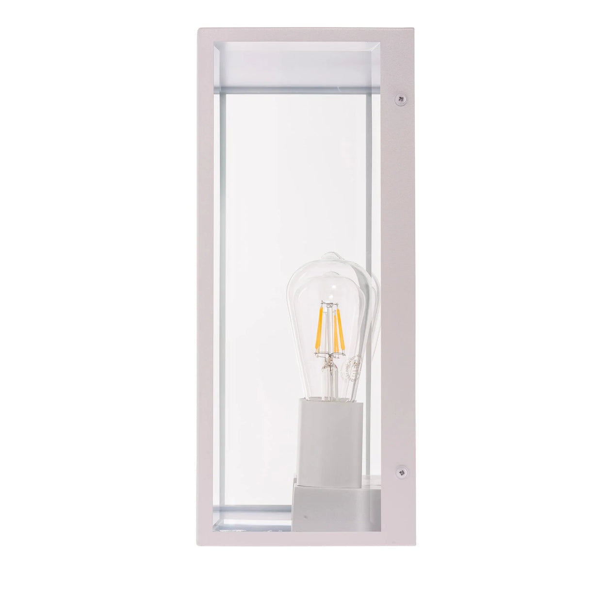 Dimmable  Bayside 316 Stainless Steel Wall Light Wall-mounted light fixture with a clear glass cover on a white background.