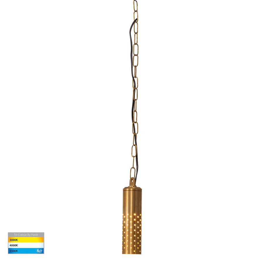 Havit HV5901T-BR-240V | HV5901T-BR-12V - Willow Solid Brass LED Pendant