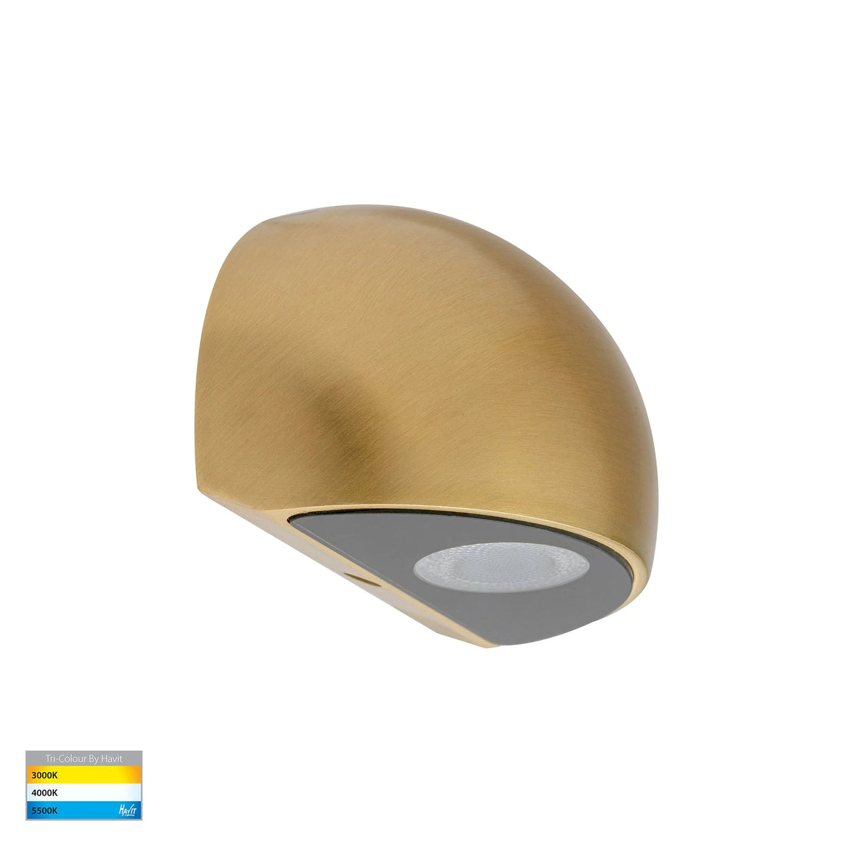 Havit Serres Solid Brass Surface Mounted LED Wall Light HV3286T-BR-12V