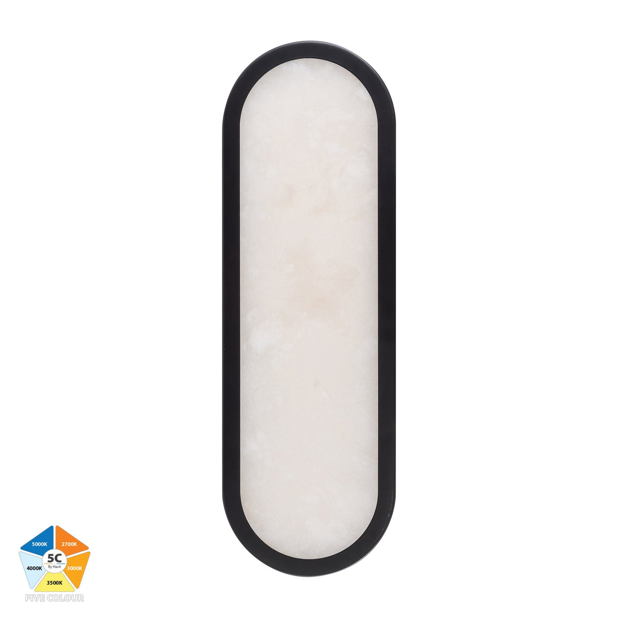 Havit HV8011S-BLKALB Auster Black with Alabaster Glass Wall Light