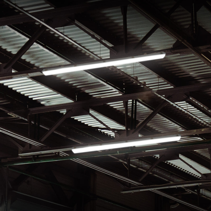 Ceiling with metal beams and fluorescent lights in a dark setting