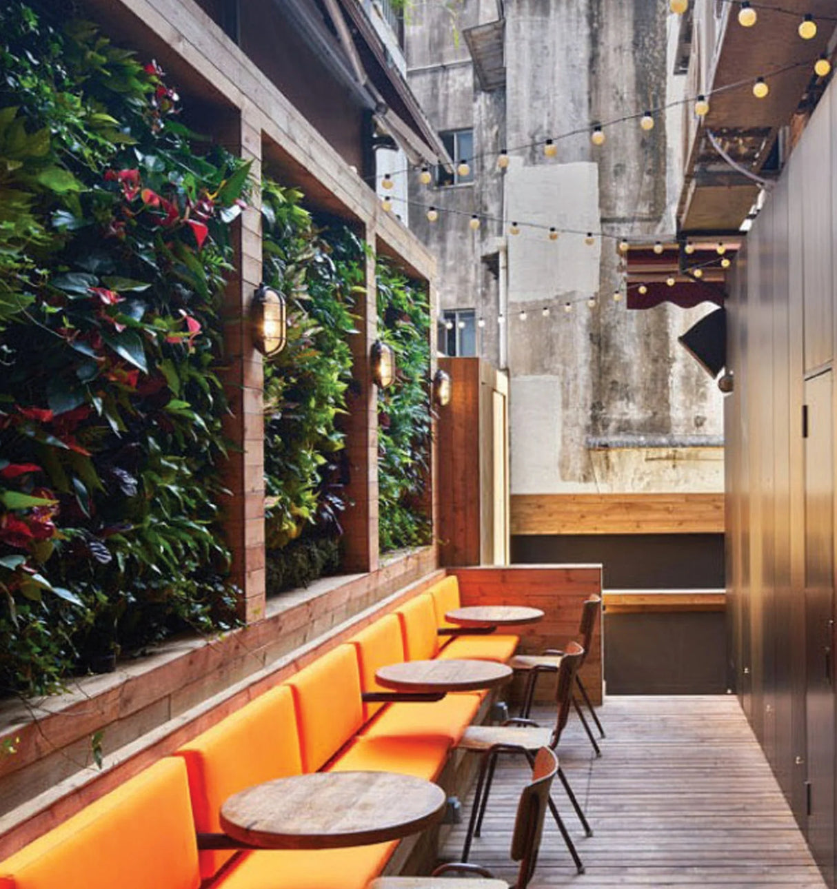 CLA Bulk Oval LED Exterior Bulkhead Lights with Optional Cage IP65