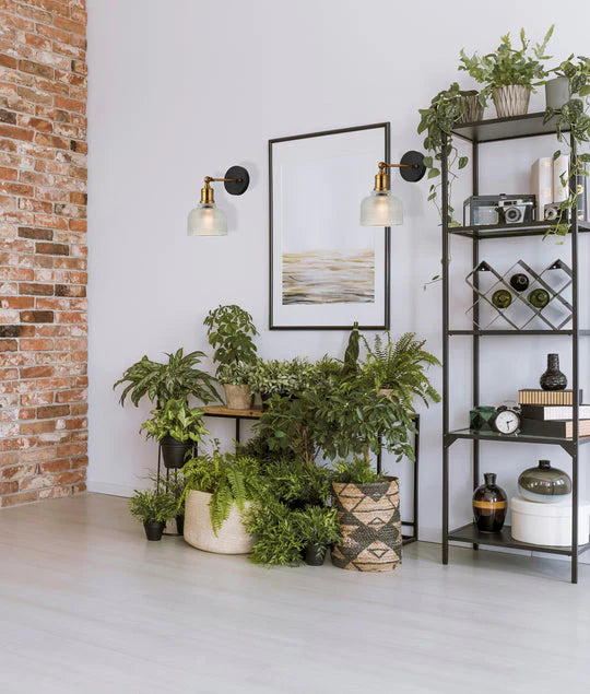 CLA Bell Interior Dome Clear Segmented Glass Wall Light