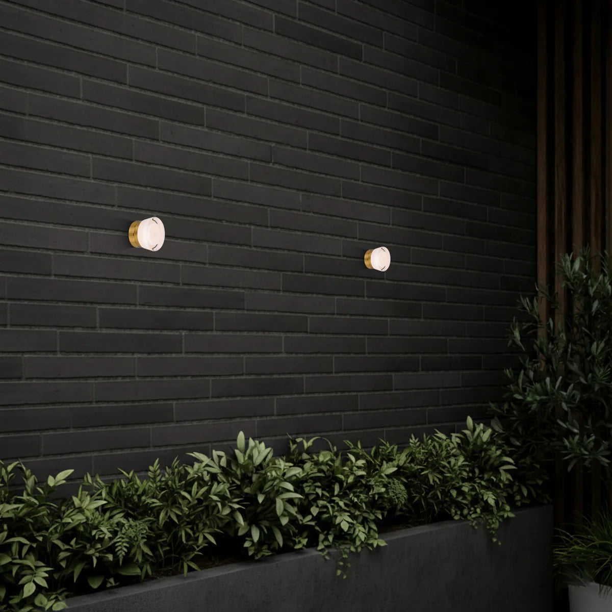 Telbix Lomira Wall Light
