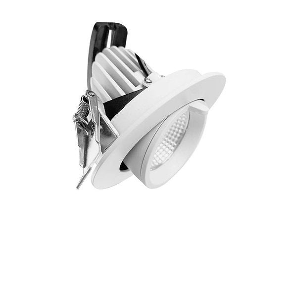 3A 10W Adjustable Downlight