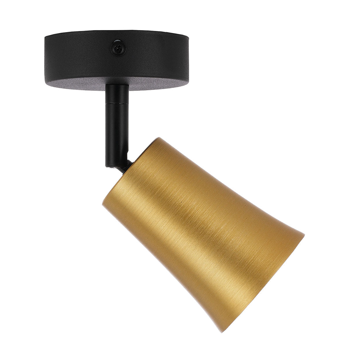 Telbix ALVEY SP1-GDBK Spotlight