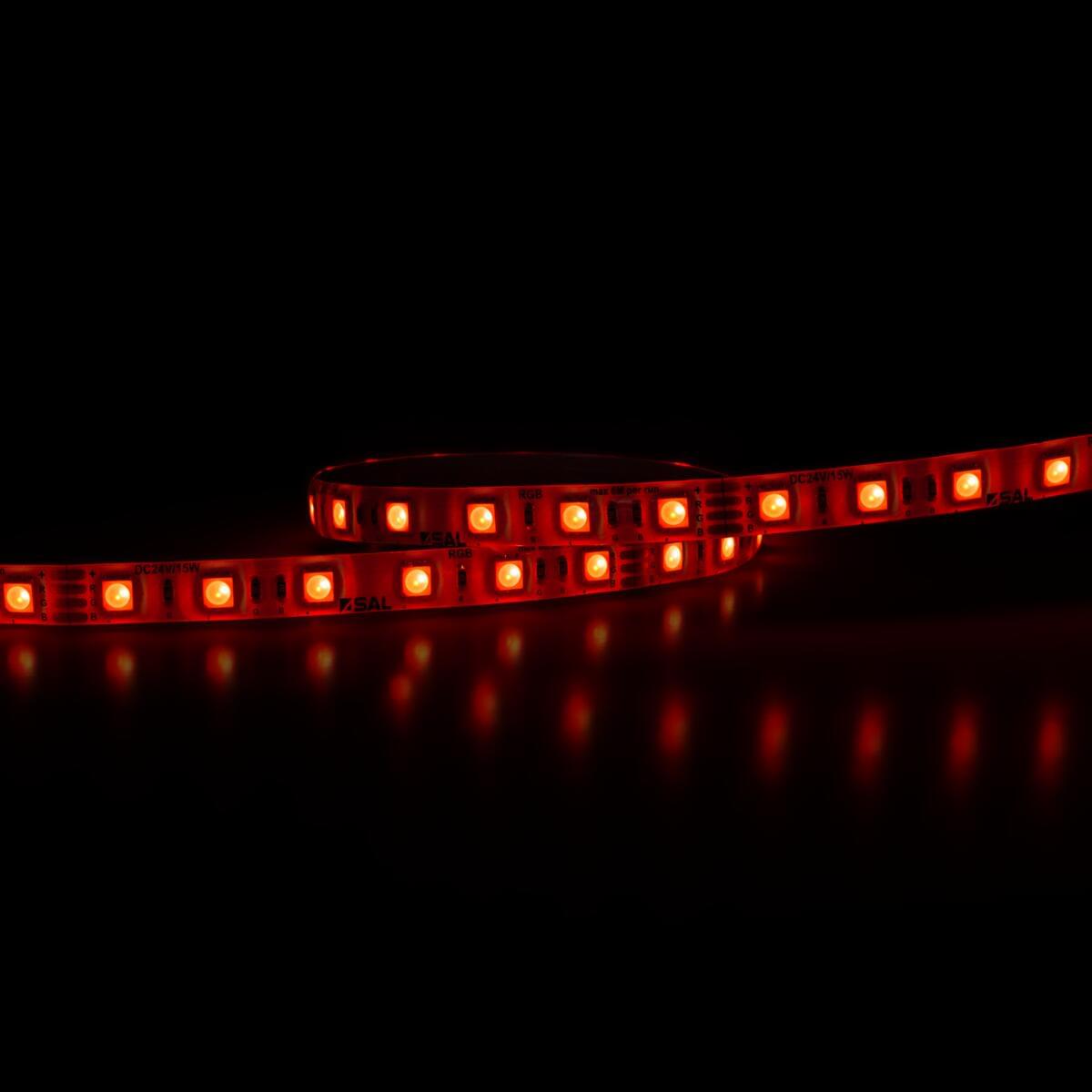 SAL FLEXI FL2415RGB/S RGB 24V 6M LED Strip IP44