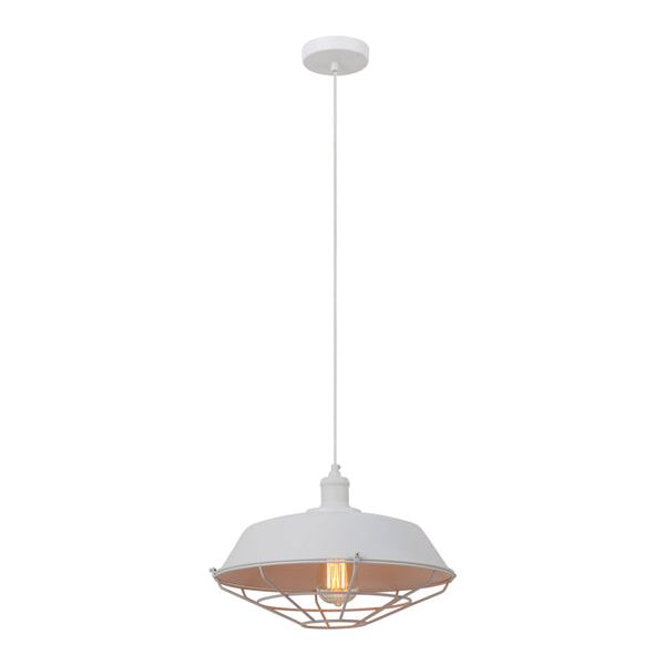 CLA MATRIX Iron Dome & Cage Pendant Lights