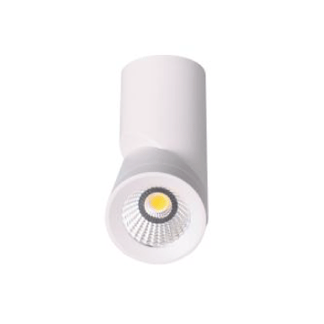 3A Lighting 12W SM Adjustable Can Light DL2034