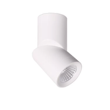 3A Lighting 12W SM Adjustable Can Light DL2034