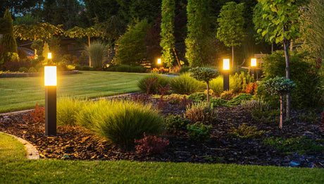 pathway lights in backyard garden of house