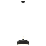 Mercator Olena 1Lt Light Pendant Light