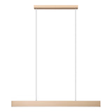 Sleek LED pendant lighting fixture by Eglo for contemporary interiors
