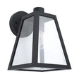 Black outdoor wall light fixture Eglo MIRANDOLA Modern Minimalist Design with clear glass on a white background
