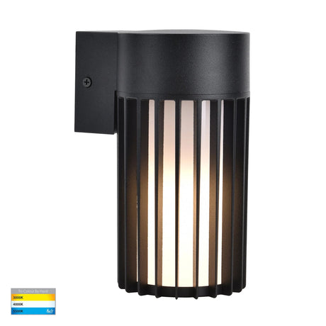Energy-efficient black outdoor light fixture with clear glass design