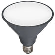 Gray Mercator PAR38 Day Light E27 LED Globe on a white background