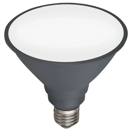 Gray Mercator PAR38 Day Light E27 LED Globe on a white background