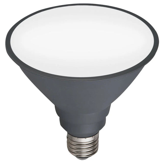 Gray Mercator PAR38 Day Light E27 LED Globe on a white background