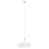 Mercator Olena 1Lt Light Pendant Light