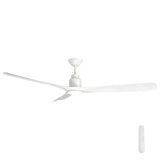 Stylish and quiet 152cm ceiling fan with energy-saving DC motor