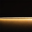 Thin gold strip Domus Plex COB 5 IP54 LED strip 24V 1 meter lighting on a black background