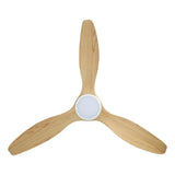 Eglo Noosa DC fan remote control and LED light module