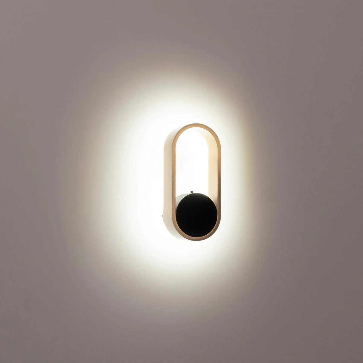 Havit black Ovale LED wall light illuminating entryway