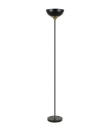 Black floor lamp on a white background