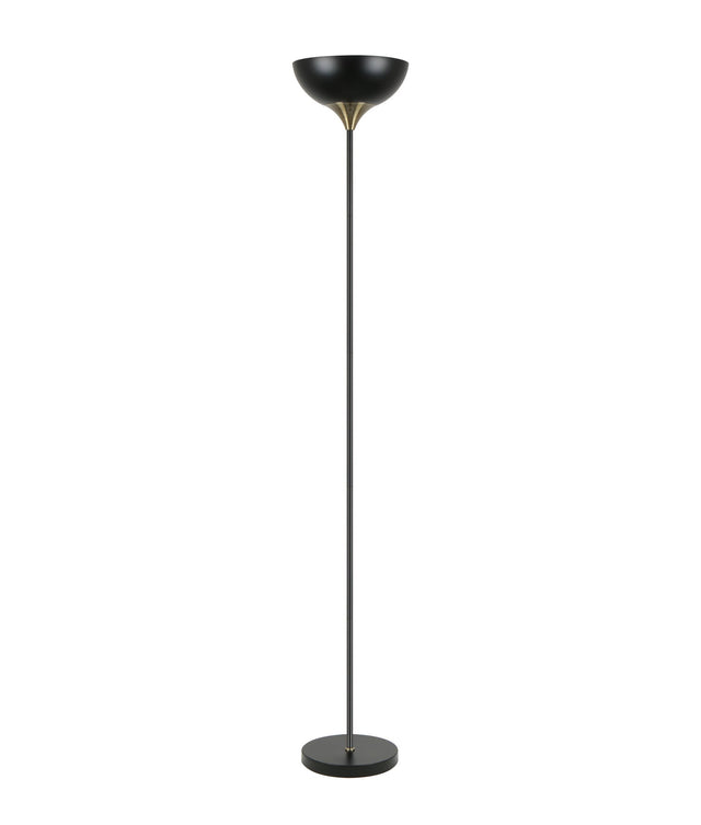 Black floor lamp on a white background