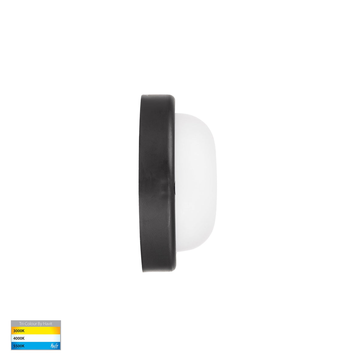 Havit HV3523T-BLK Muovi Polycarbonate Black Wall or Ceiling Light