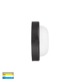 Havit HV3523T-BLK Muovi Polycarbonate Black Wall or Ceiling Light