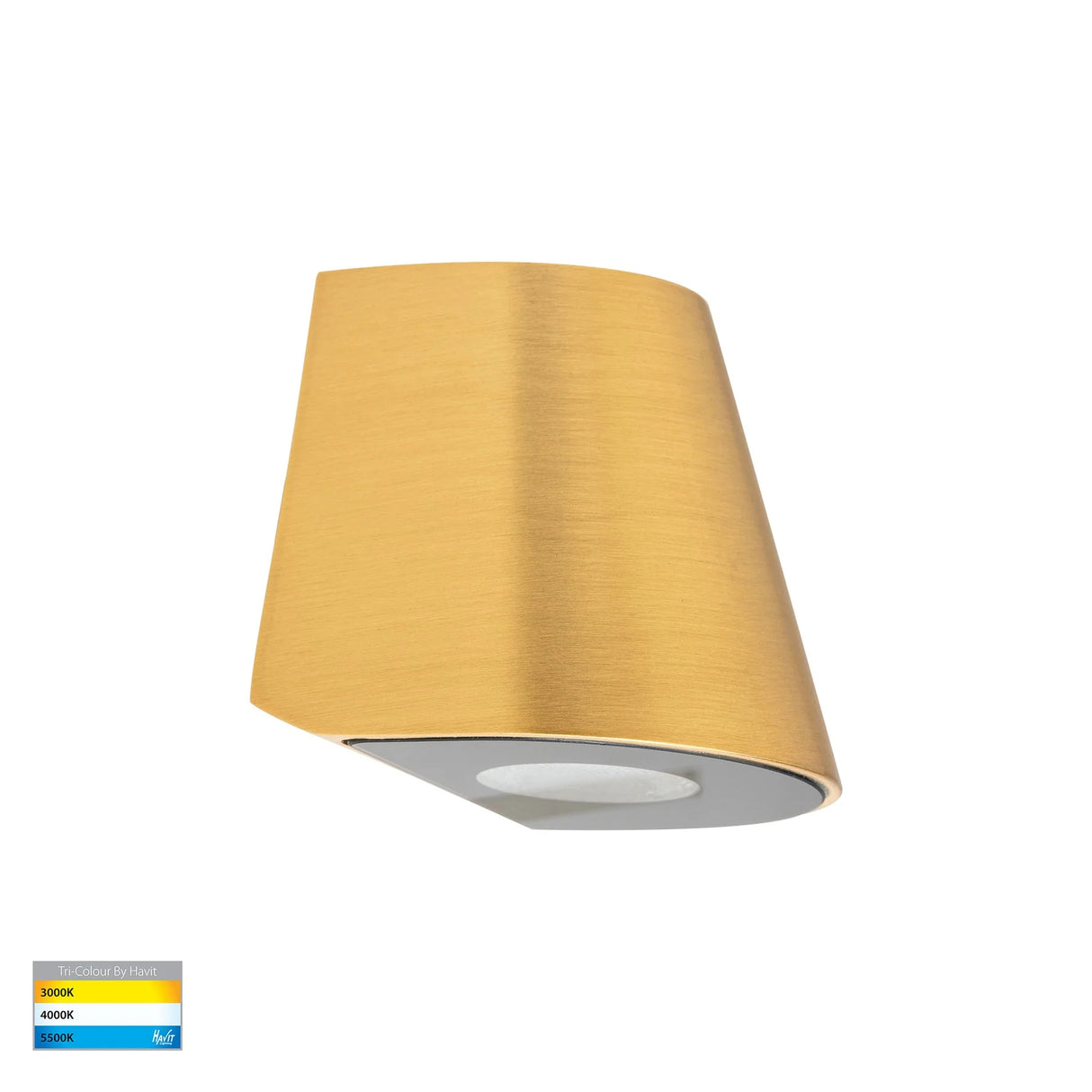 Havit Kaval Solid Brass Surface Mounted LED Wall Light HV3285T-BR-12V