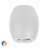 Havit HV5849S-WHT Nella White 12w Surface Mounted LED Downlight