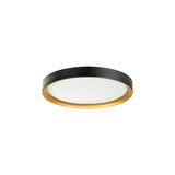 Havit HV5863-2-BLKGLD Auster Black & Gold Trim to suit HV5863S-WHT