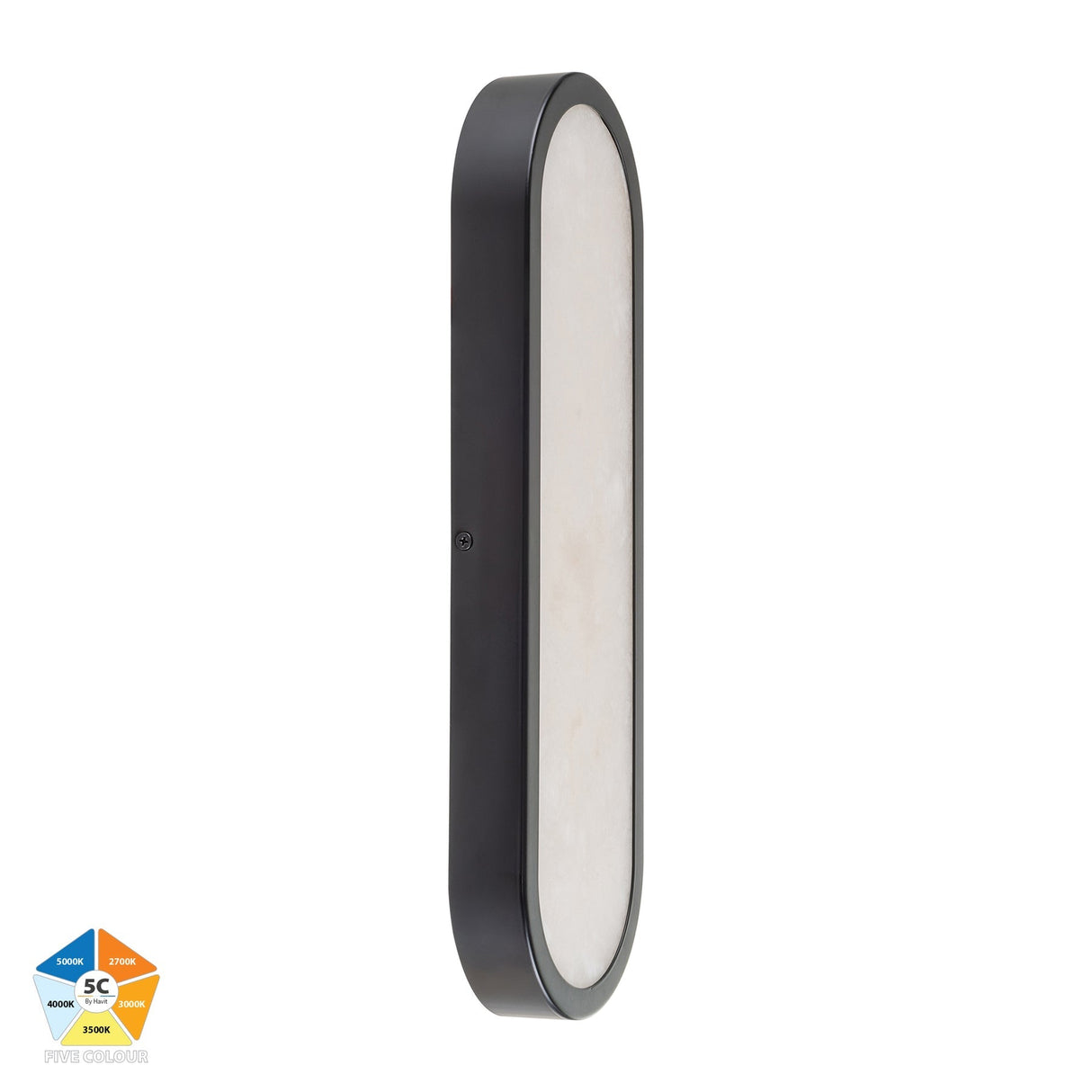 Havit HV8011S-BLKALB Auster Black with Alabaster Glass Wall Light