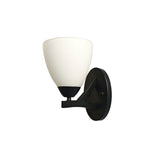 Oriel Roxby Wall Traditional Metal Wall Light