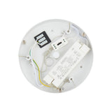 Telbix Ariva 62 Pendant Light