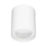 Brilliant Anka 9W CCT Surface Mount Downlight