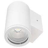 Brilliant Anka 9W CCT Wall Light