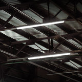 Ceiling with metal beams and fluorescent lights in a dark setting