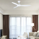 Brilliant Fantastic 52'' DC Ceiling Fan