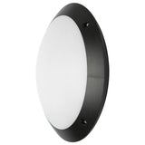 Round black wall light fixture on a white background