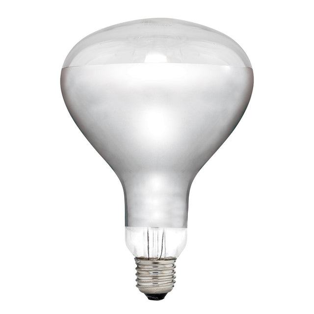 Clear light bulb on a white background