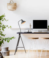 CLA Collo Cone Shade with Antique Brass Highlight Table Lamps