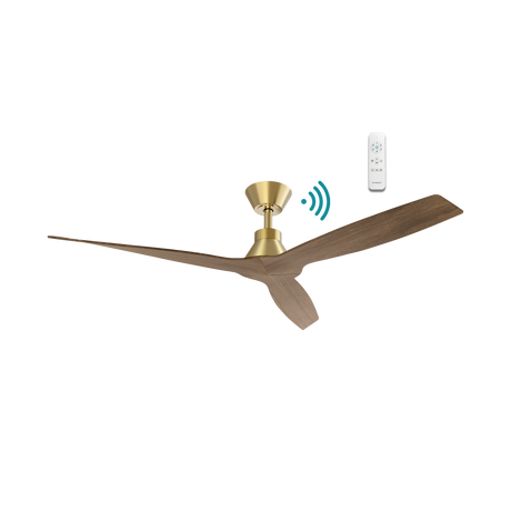 Smart DC motor ceiling fan by Martec Triumph with energy-saving design.