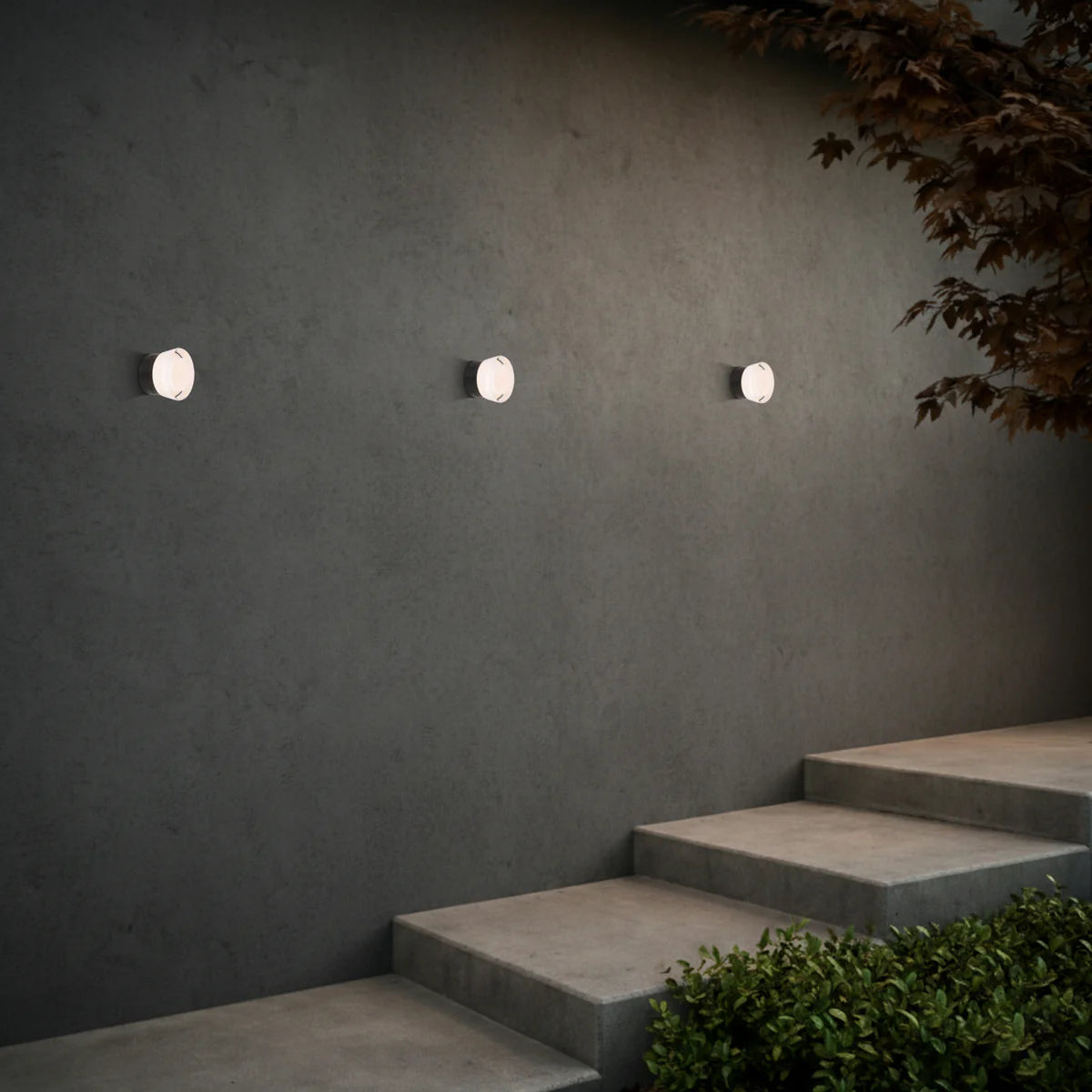 Telbix Lomira Wall Light