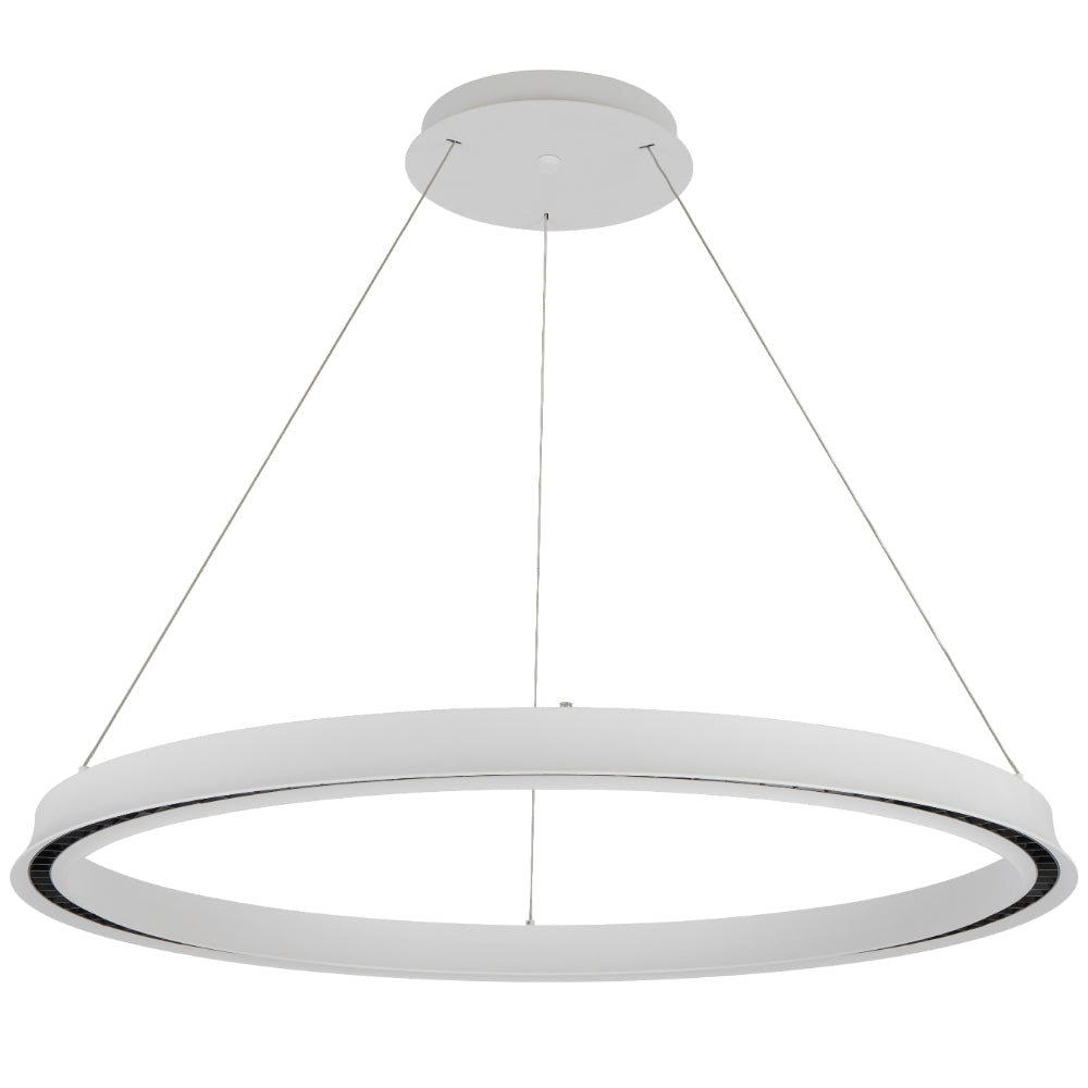 Modern pendant light with two circular designs on a white background