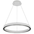 Modern pendant light with circular design on a white background