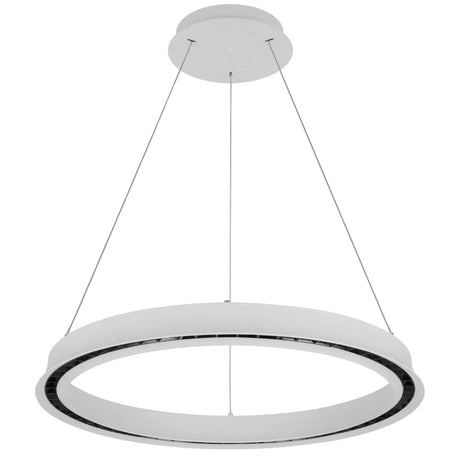 Modern pendant light with circular design on a white background