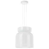 Telbix Skapa Pendant AD